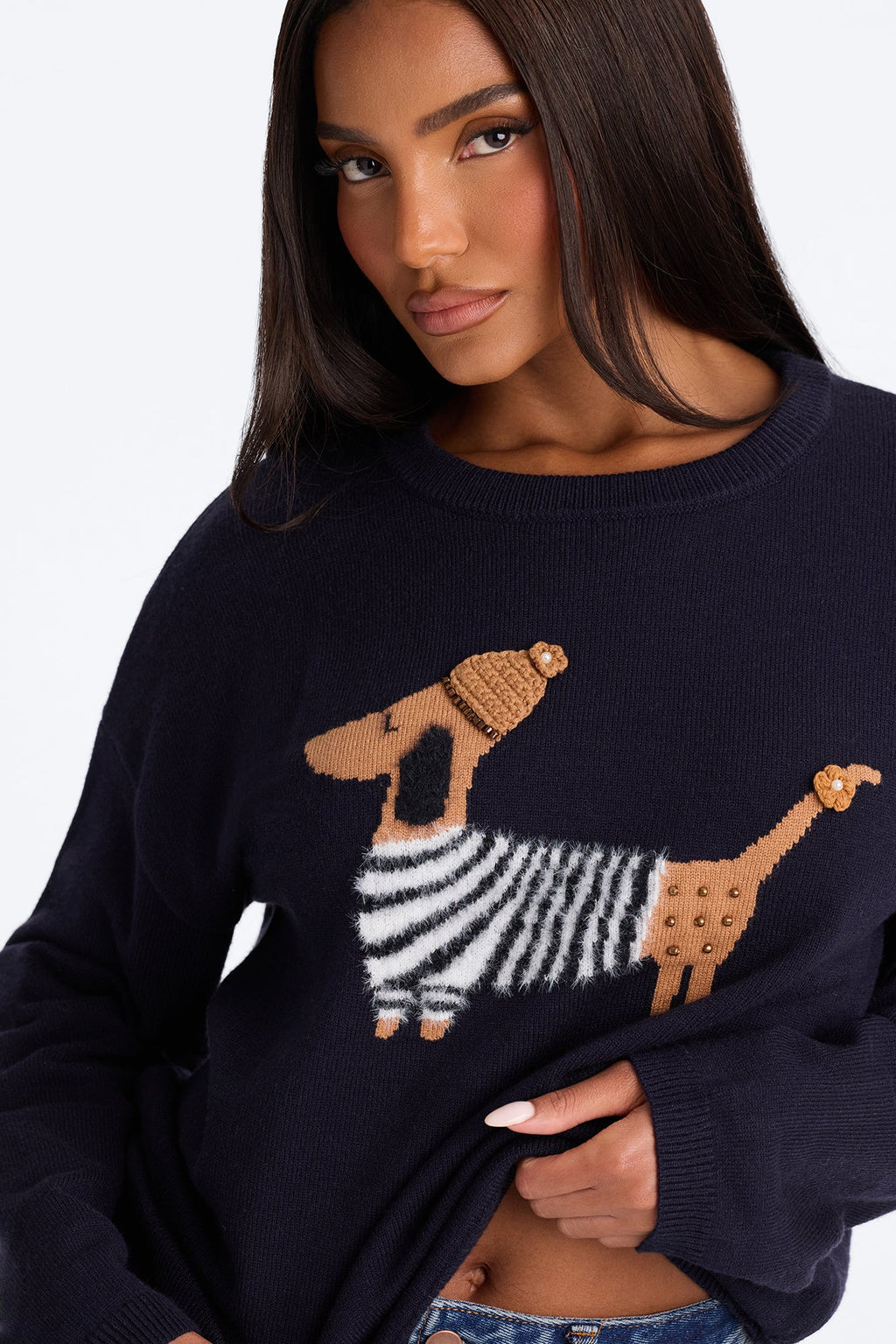 Snow Pup Long Sleeve Sweater - Navy/combo